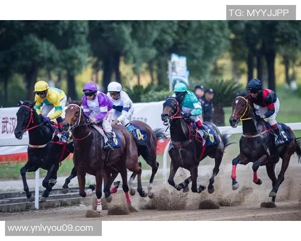 武汉篮球队速度表现分析：数据揭示球队快攻效率与比赛胜负关系