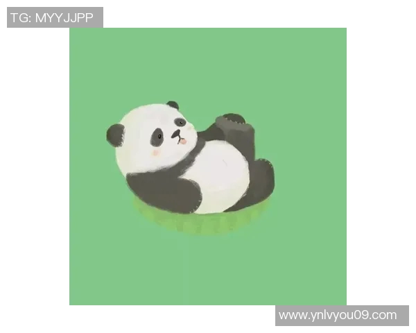 足球明星熊猫头像的创意设计与文化融合探讨