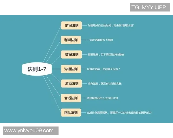 成都排球队团队协作的独特优势与其他球队的深度比较分析 成都排球队团队协作的独特优势与其他球队的深度比较分析
