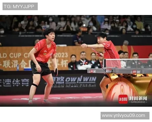 杭州乒乓球队在邀请赛中的节奏表现分析与点评
