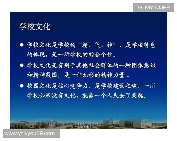 深圳篮球队的意识提升与团队合作的重要性探讨