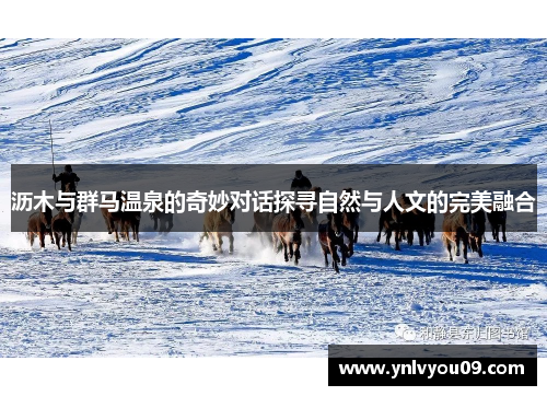 沥木与群马温泉的奇妙对话探寻自然与人文的完美融合