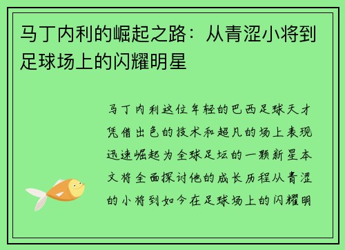 马丁内利的崛起之路：从青涩小将到足球场上的闪耀明星